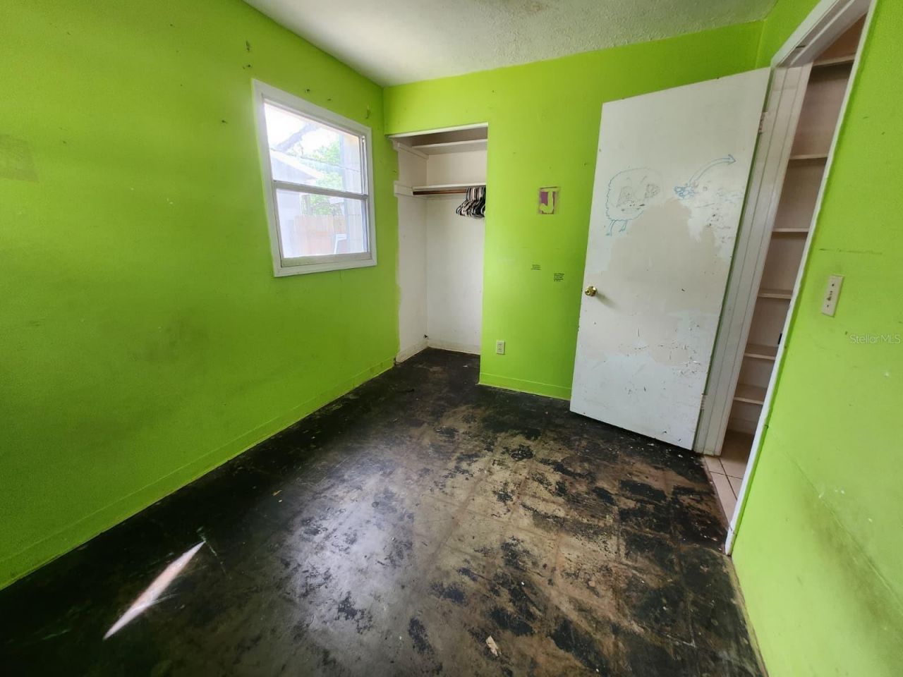 910 Emerald Drive , Mount Dora, FL 32757 Photo