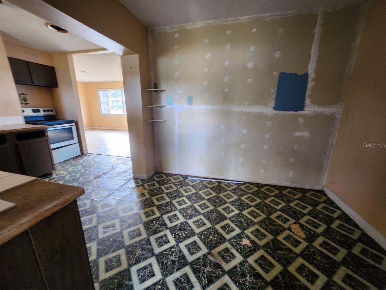 910 Emerald Drive , Mount Dora, FL 32757 Photo