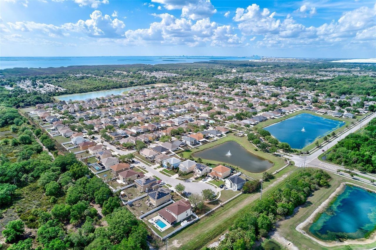 12136 Tree Haven Avenue, Gibsonton, FL 33534 Photo