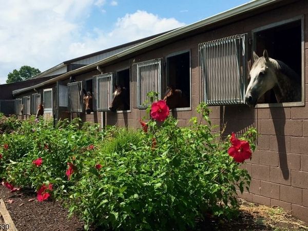 1015 Cherry Hill Rd, Montgomery, NJ 08540