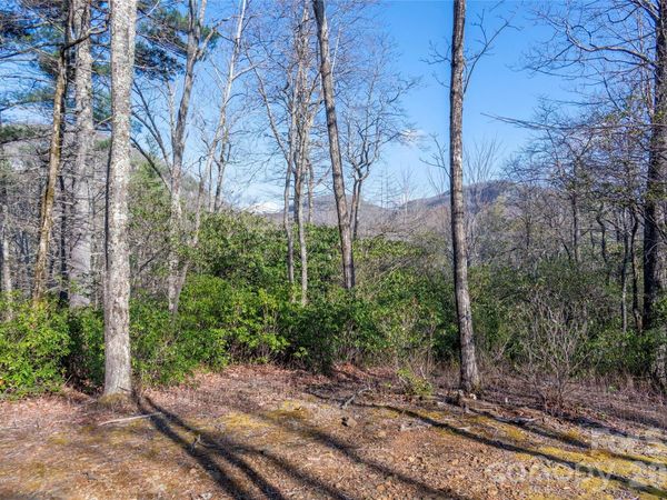TRP 1 Cardinal Drive W, Lake Toxaway, NC 28747