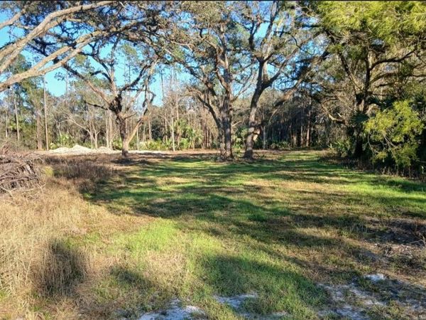 1013 CUPID AVENUE , CHRISTMAS, FL 32709