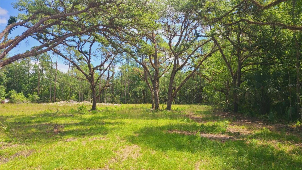 1013 Cupid Avenue , Christmas, FL 32709 Photo