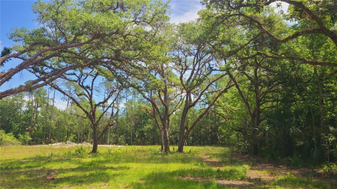 1013 Cupid Avenue , Christmas, FL 32709 Photo