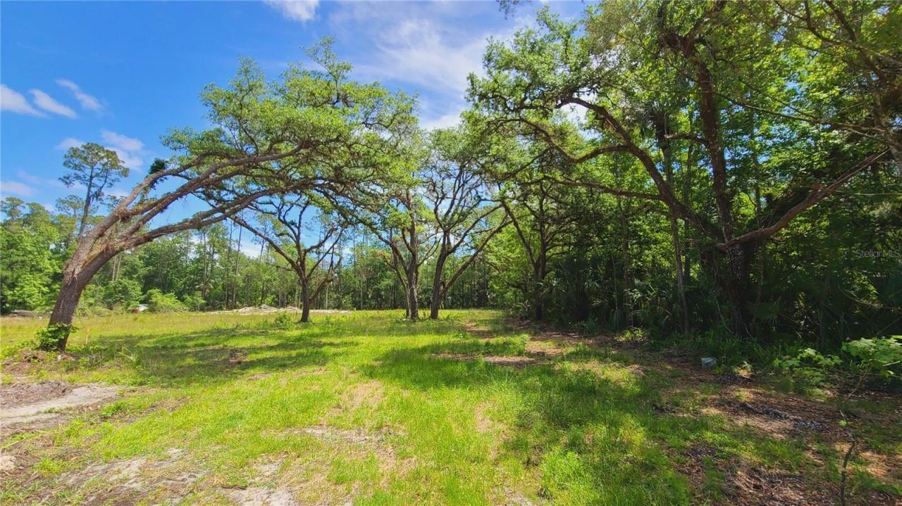 1013 Cupid Avenue , Christmas, FL 32709 Photo