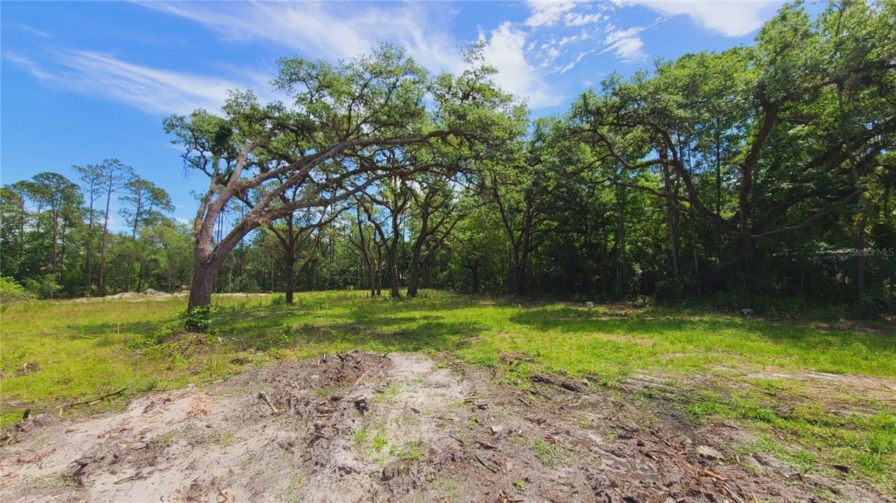 1013 Cupid Avenue , Christmas, FL 32709 Photo