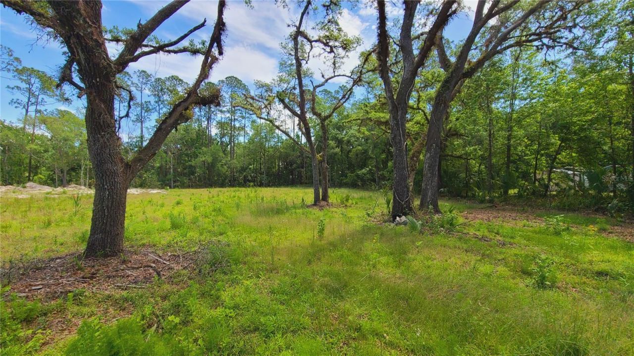 1013 Cupid Avenue , Christmas, FL 32709 Photo