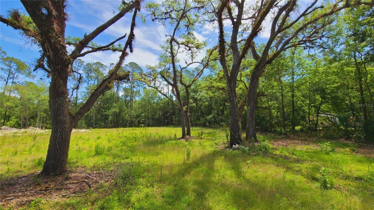 1013 Cupid Avenue , Christmas, FL 32709 Photo