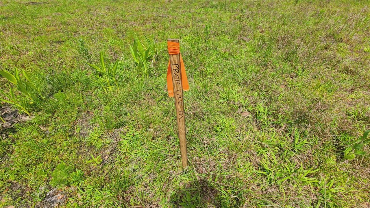 1013 Cupid Avenue , Christmas, FL 32709 Photo