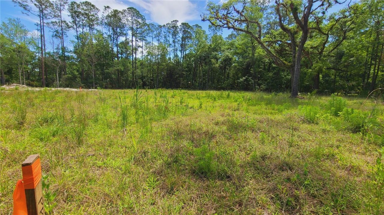 1013 Cupid Avenue , Christmas, FL 32709 Photo