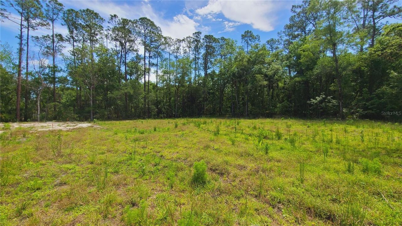 1013 Cupid Avenue , Christmas, FL 32709 Photo