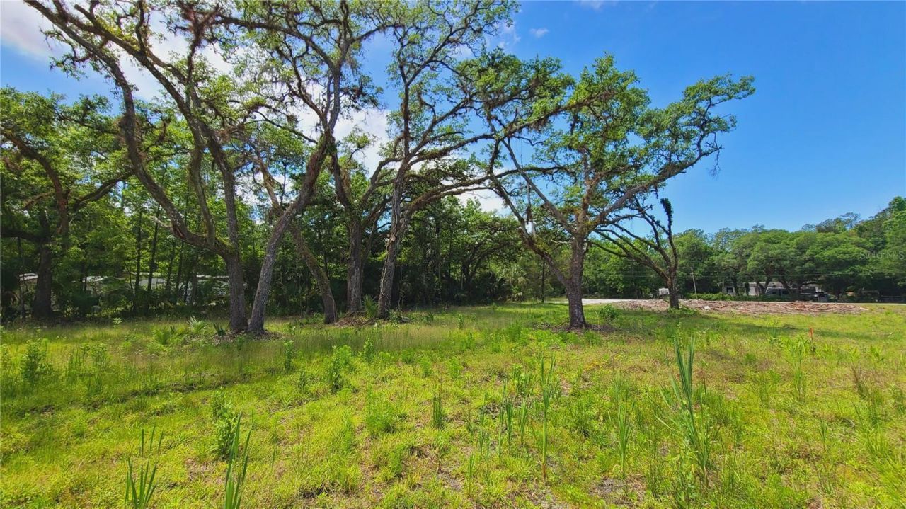 1013 Cupid Avenue , Christmas, FL 32709 Photo