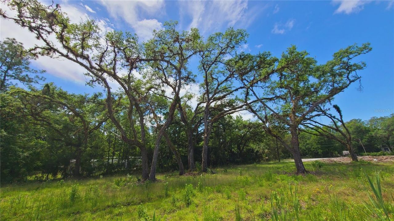 1013 Cupid Avenue , Christmas, FL 32709 Photo