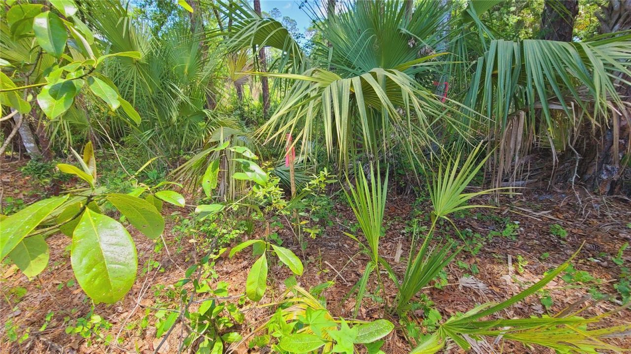 1013 Cupid Avenue , Christmas, FL 32709 Photo