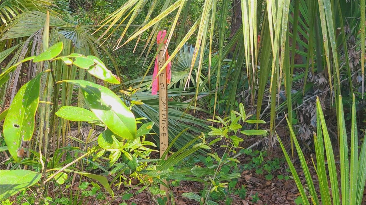 1013 Cupid Avenue , Christmas, FL 32709 Photo