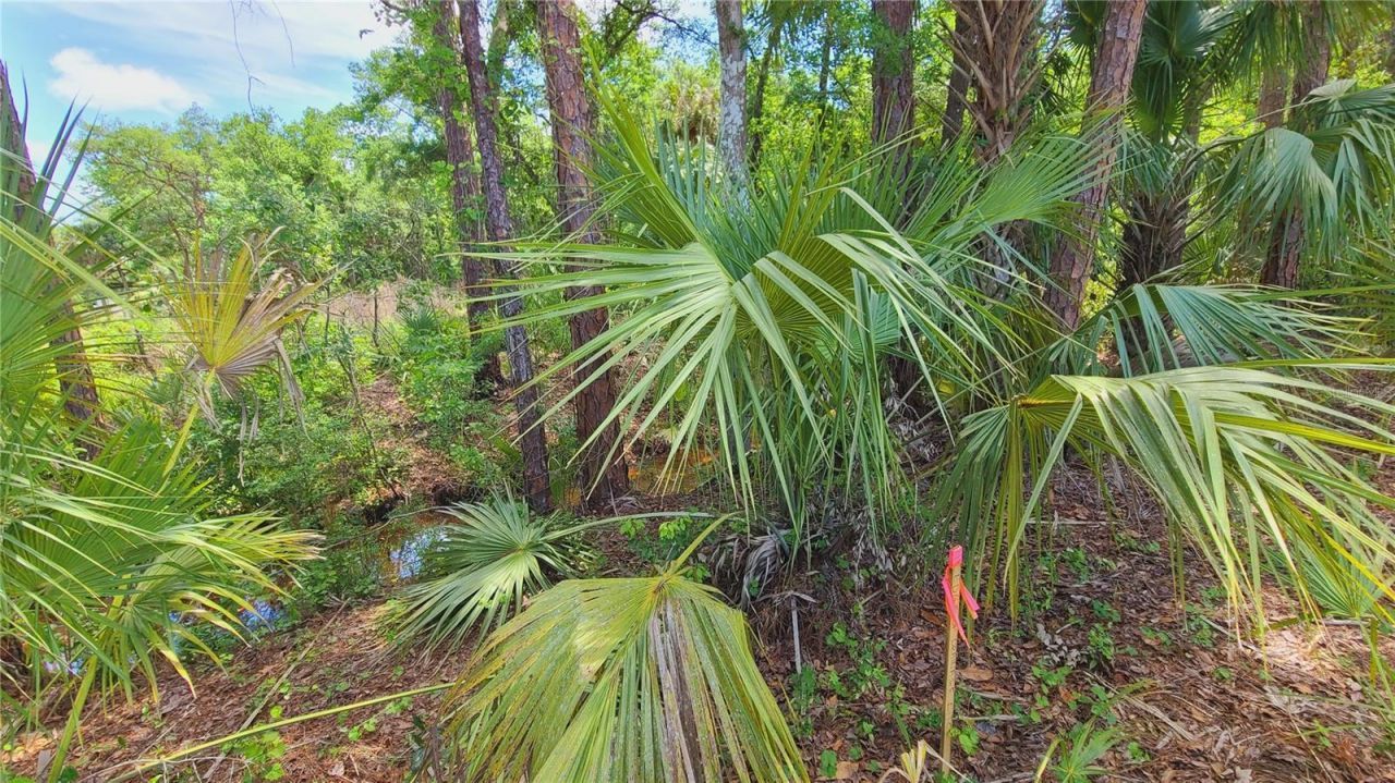 1013 Cupid Avenue , Christmas, FL 32709 Photo