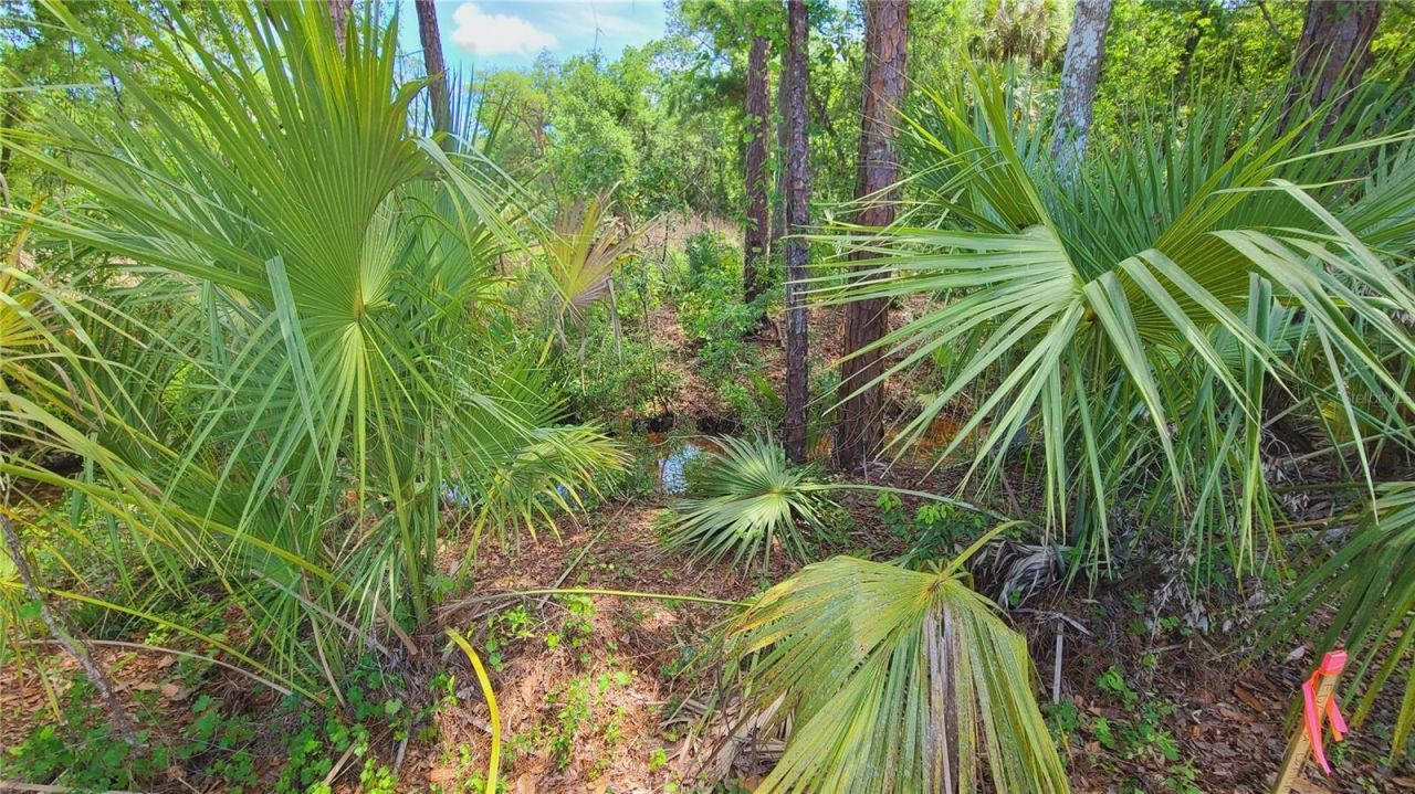 1013 Cupid Avenue , Christmas, FL 32709 Photo