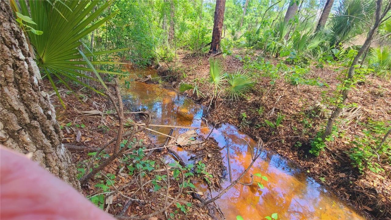 1013 Cupid Avenue , Christmas, FL 32709 Photo