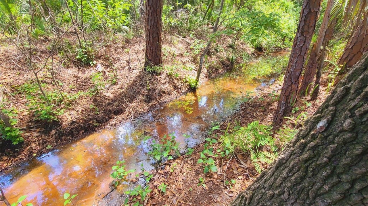 1013 Cupid Avenue , Christmas, FL 32709 Photo