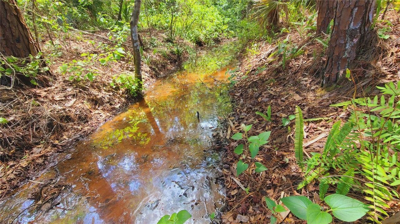 1013 Cupid Avenue , Christmas, FL 32709 Photo