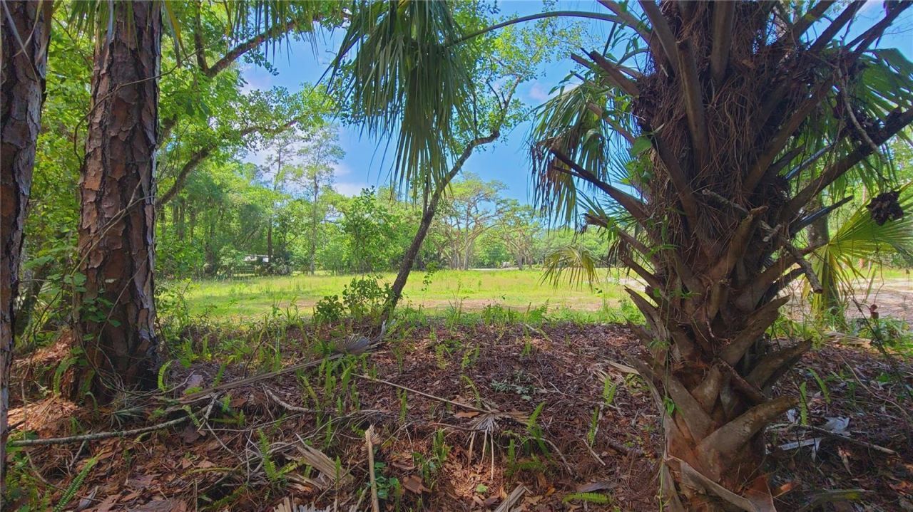 1013 Cupid Avenue , Christmas, FL 32709 Photo