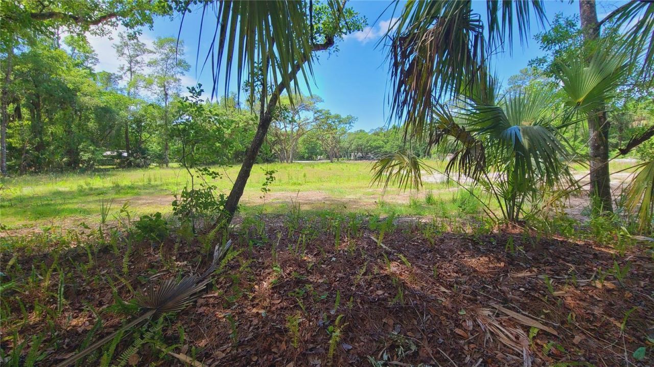 1013 Cupid Avenue , Christmas, FL 32709 Photo