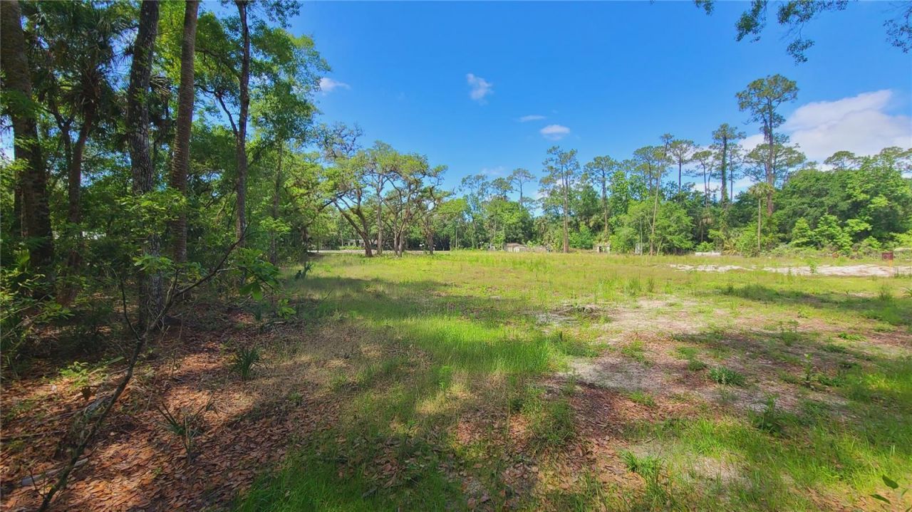 1013 Cupid Avenue , Christmas, FL 32709 Photo