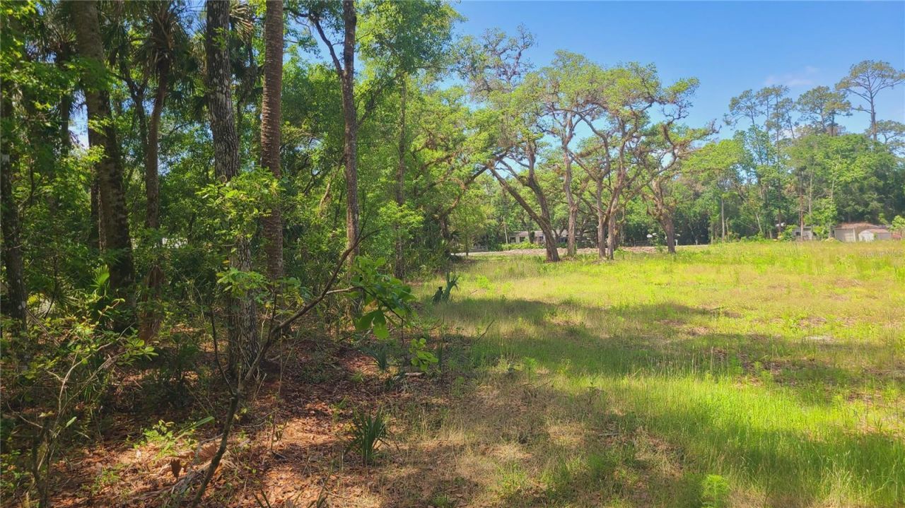 1013 Cupid Avenue , Christmas, FL 32709 Photo