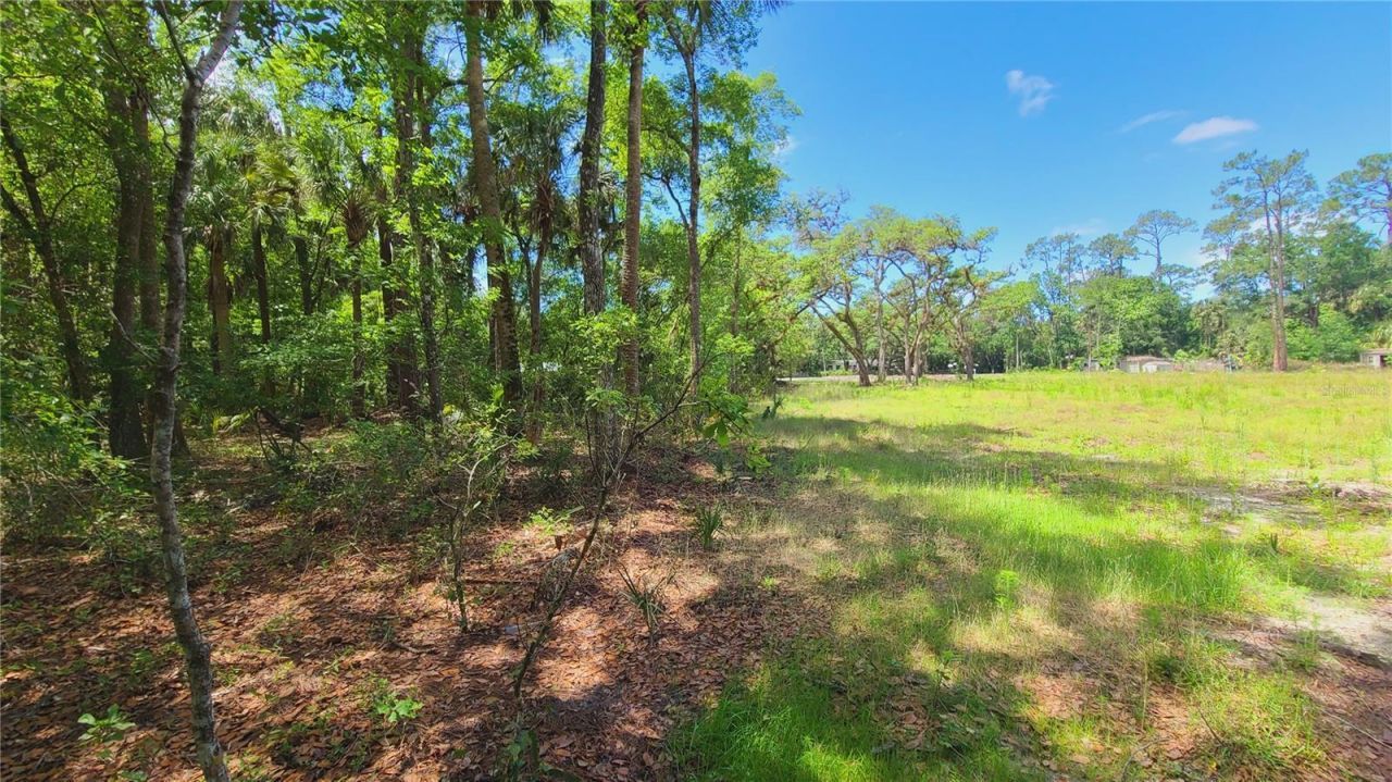 1013 Cupid Avenue , Christmas, FL 32709 Photo