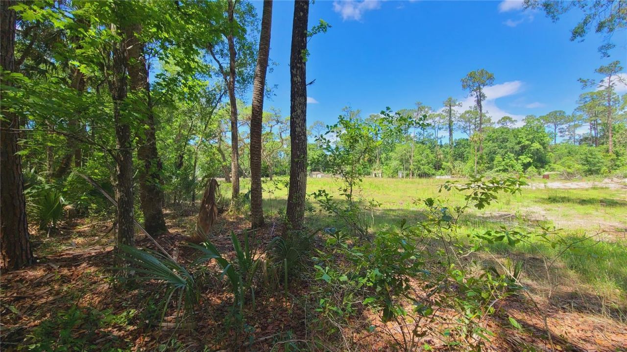 1013 Cupid Avenue , Christmas, FL 32709 Photo