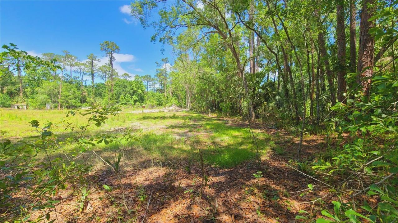 1013 Cupid Avenue , Christmas, FL 32709 Photo