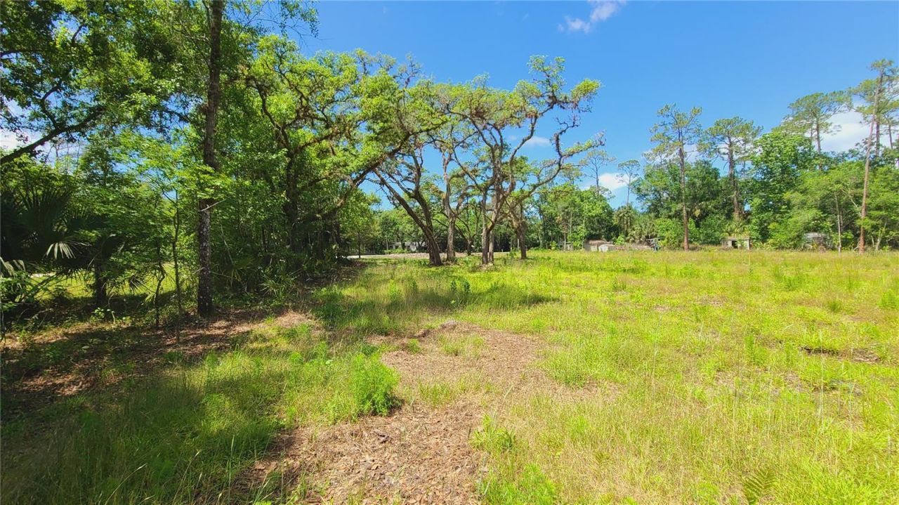 1013 Cupid Avenue , Christmas, FL 32709 Photo