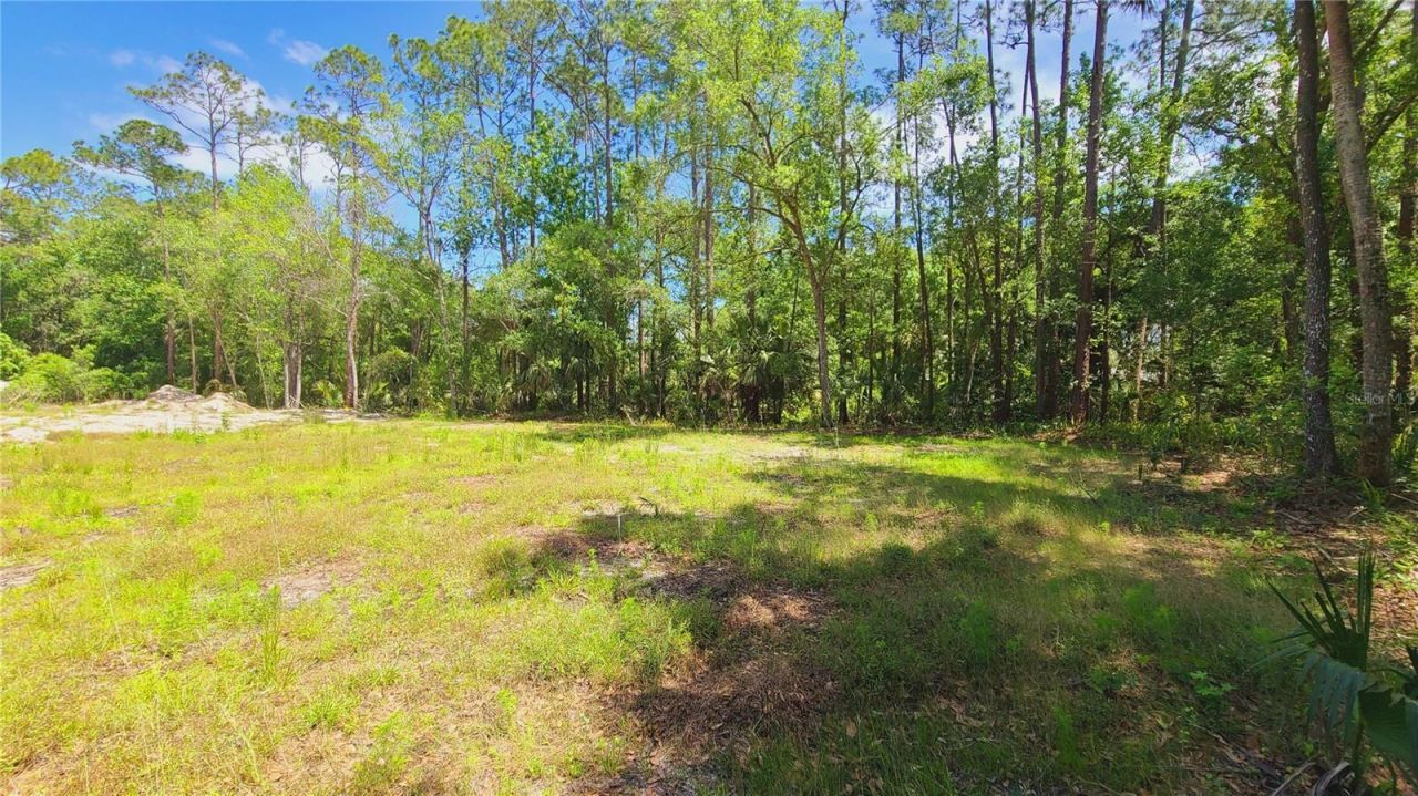 1013 Cupid Avenue , Christmas, FL 32709 Photo