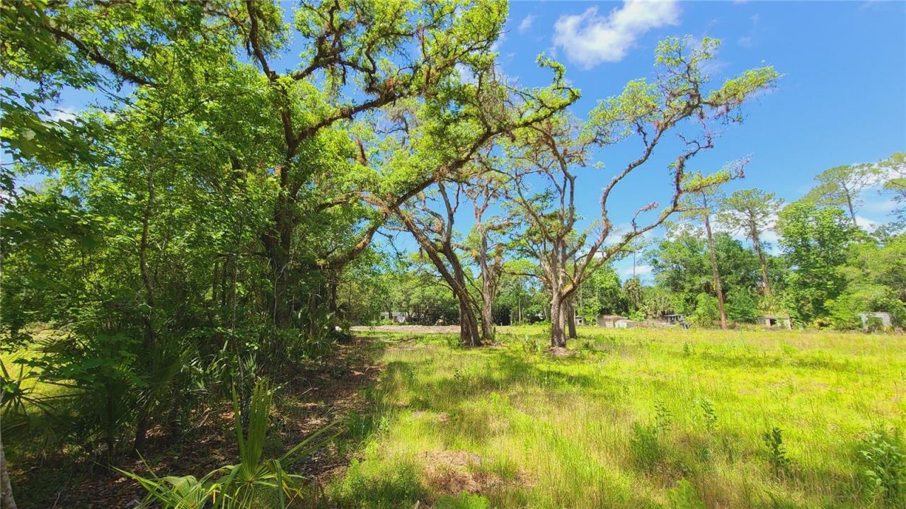 1013 Cupid Avenue , Christmas, FL 32709 Photo