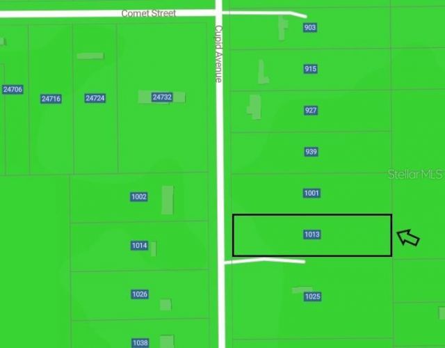 1013 Cupid Avenue , Christmas, FL 32709 Photo