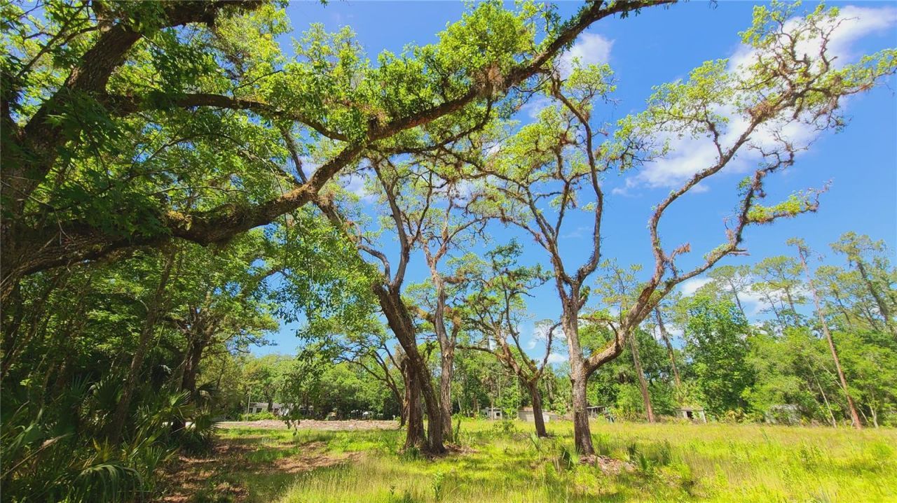 1013 Cupid Avenue , Christmas, FL 32709 Photo