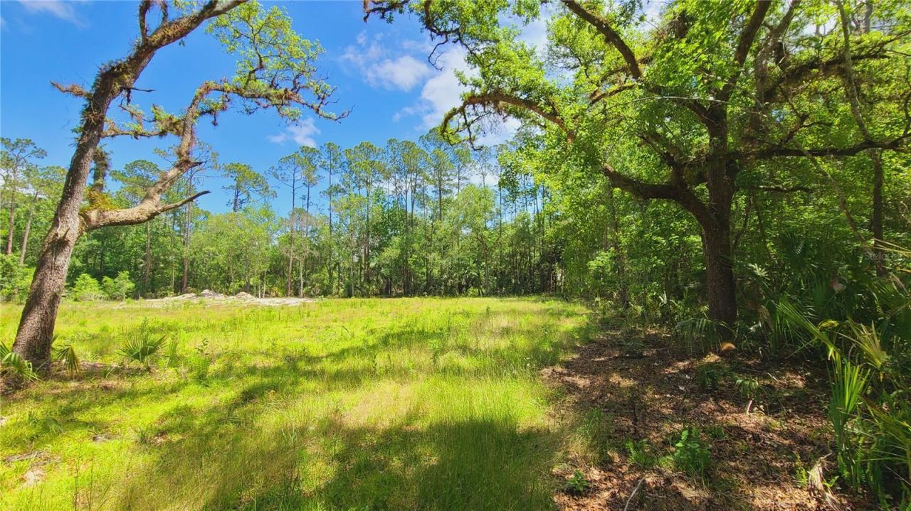 1013 Cupid Avenue , Christmas, FL 32709 Photo