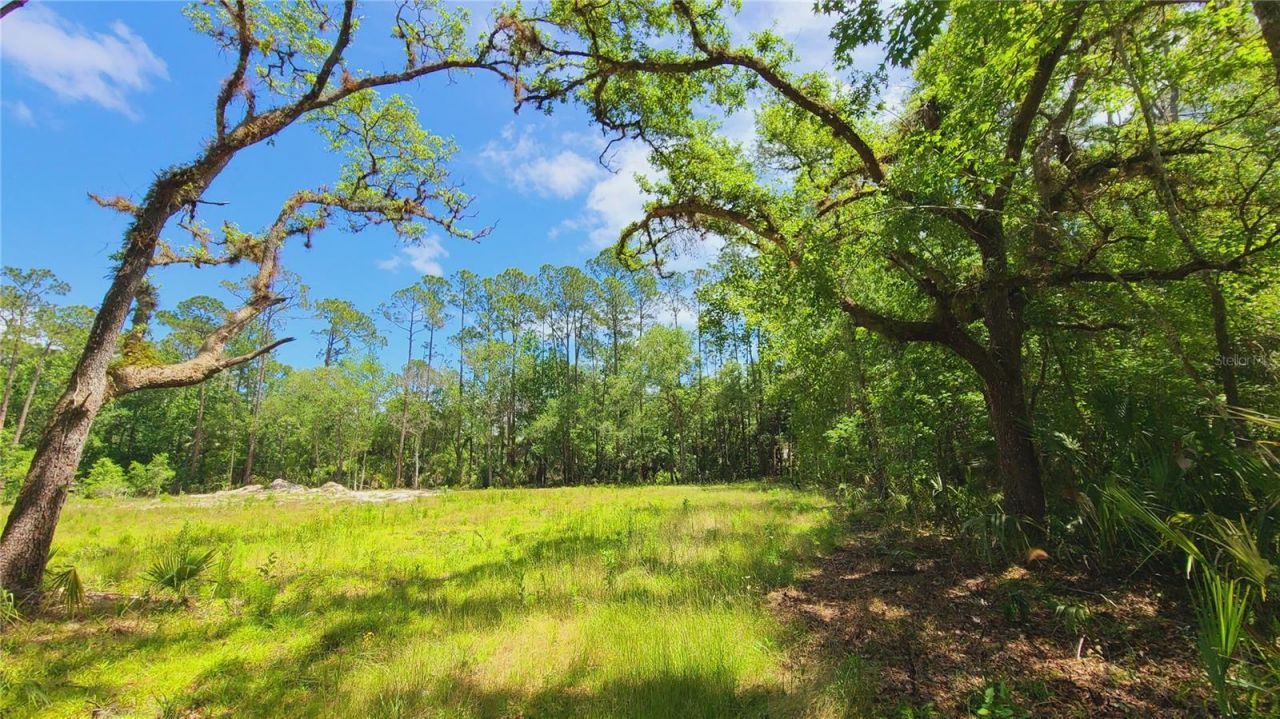 1013 Cupid Avenue , Christmas, FL 32709 Photo