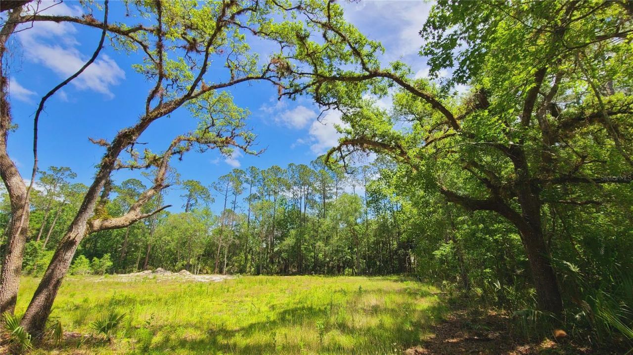 1013 Cupid Avenue , Christmas, FL 32709 Photo