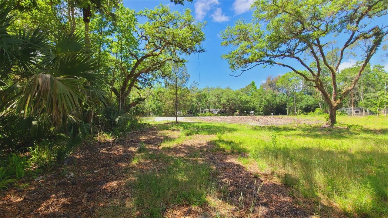 1013 Cupid Avenue , Christmas, FL 32709 Photo