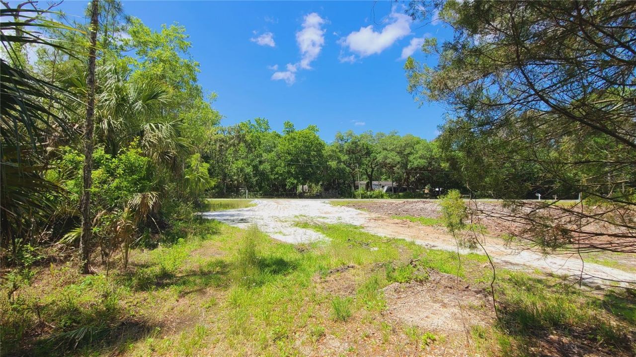 1013 Cupid Avenue , Christmas, FL 32709 Photo