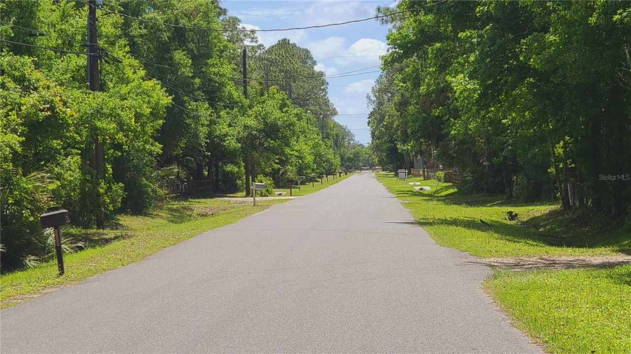 1013 Cupid Avenue , Christmas, FL 32709 Photo