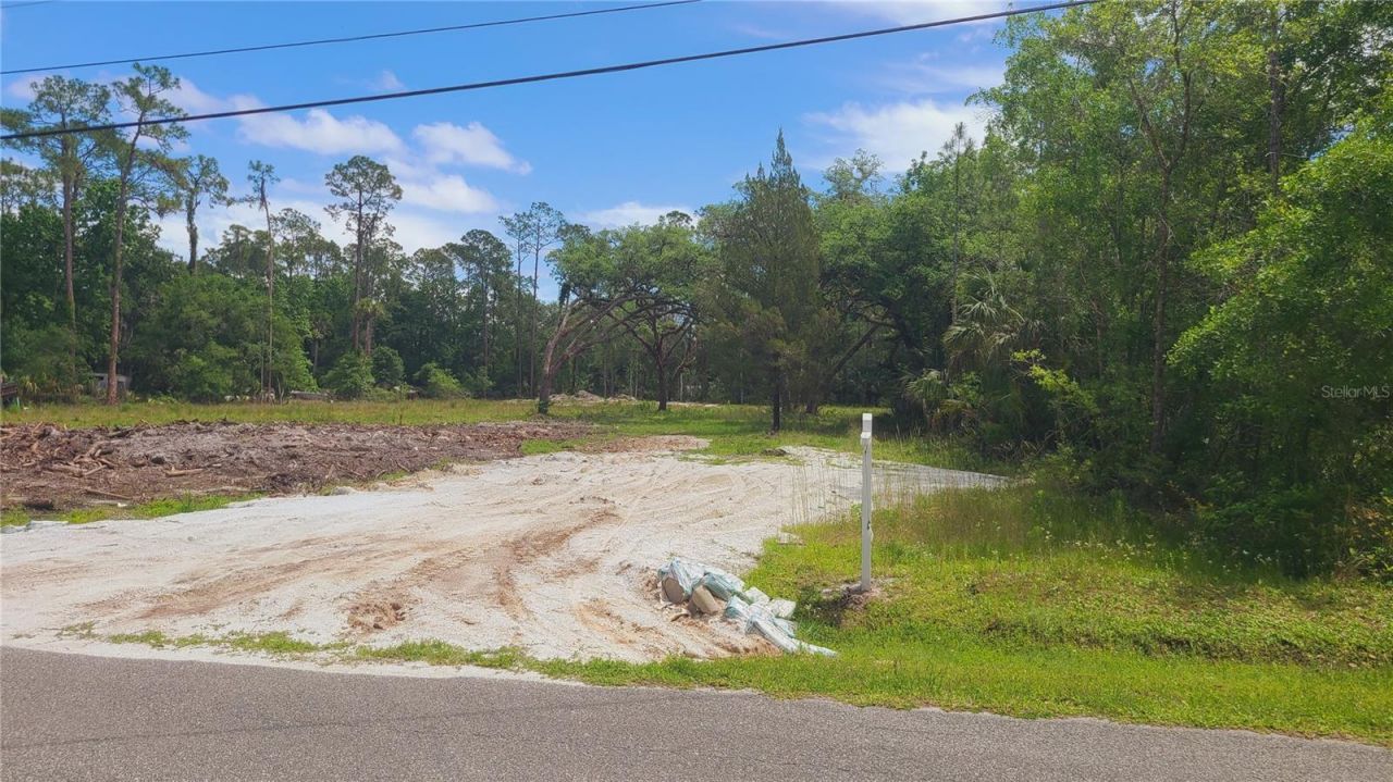 1013 Cupid Avenue , Christmas, FL 32709 Photo