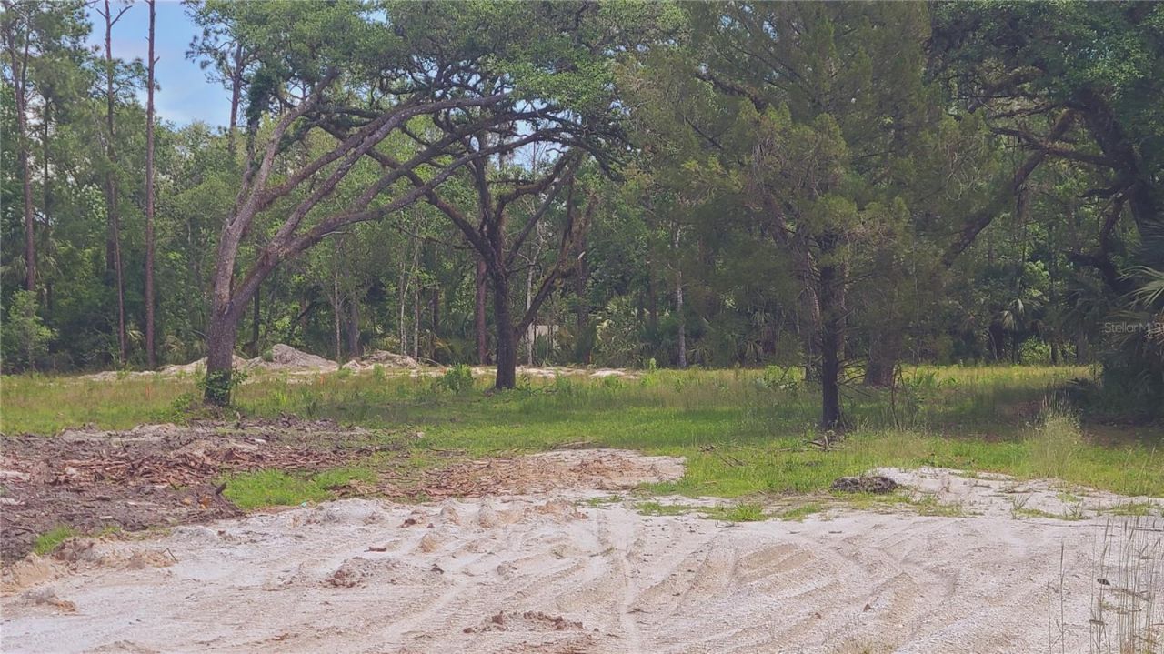 1013 Cupid Avenue , Christmas, FL 32709 Photo