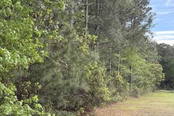 Tbd Gussie Ct. photo 4