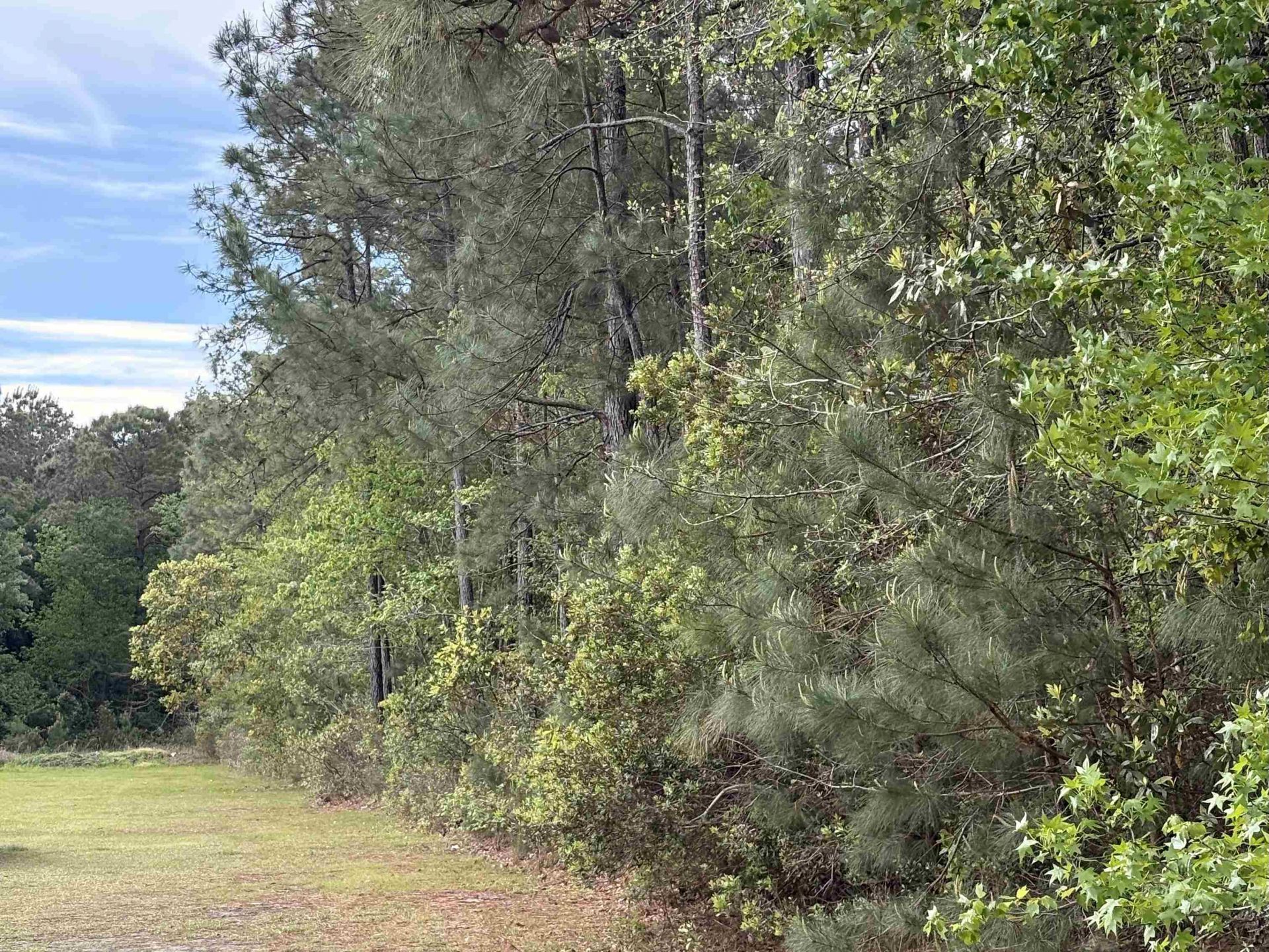 Tbd Gussie Ct. Photo 5