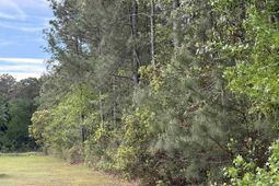 Tbd Gussie Ct. photo 4