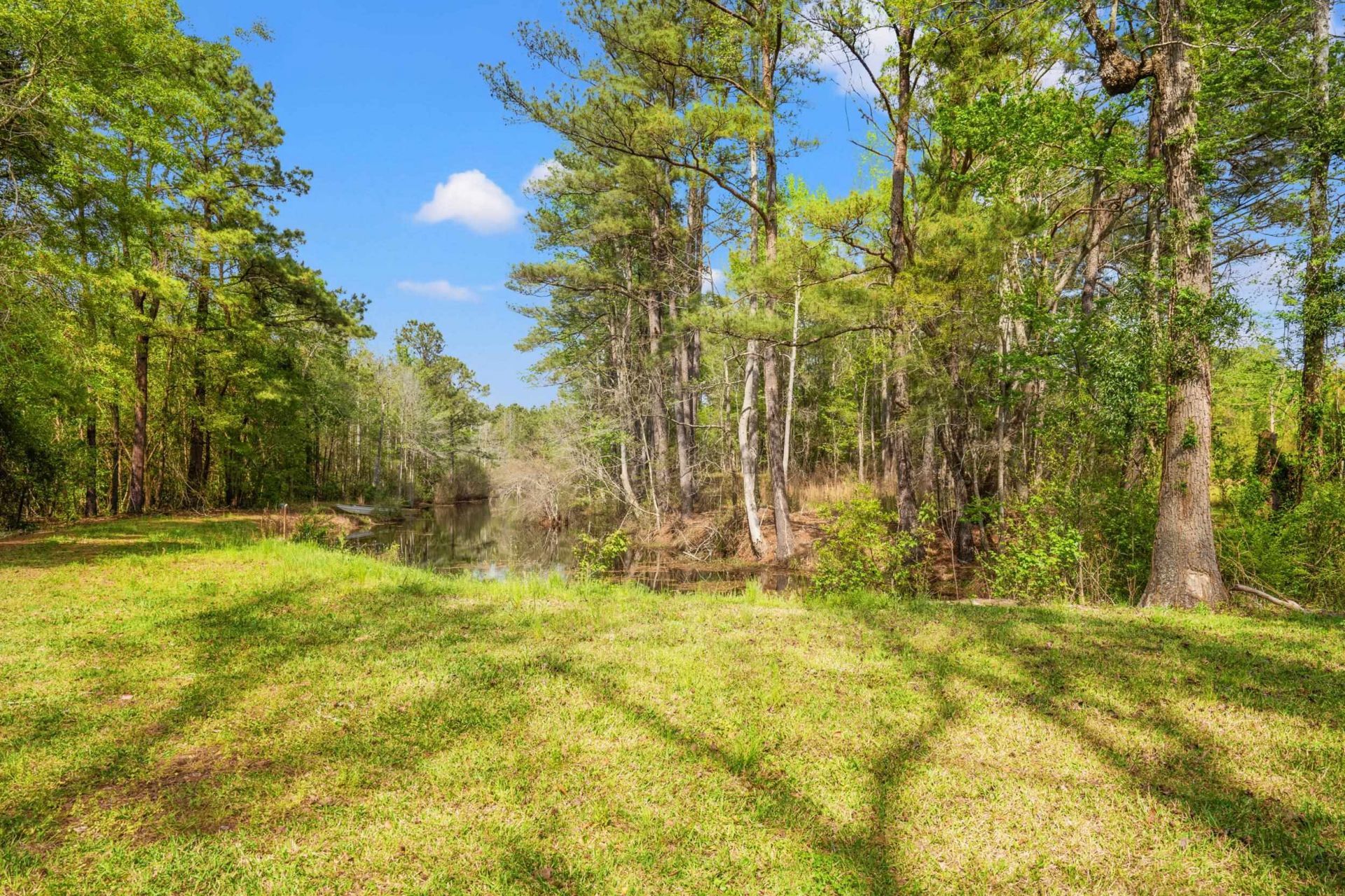 2031 Highway 129  Photo 40