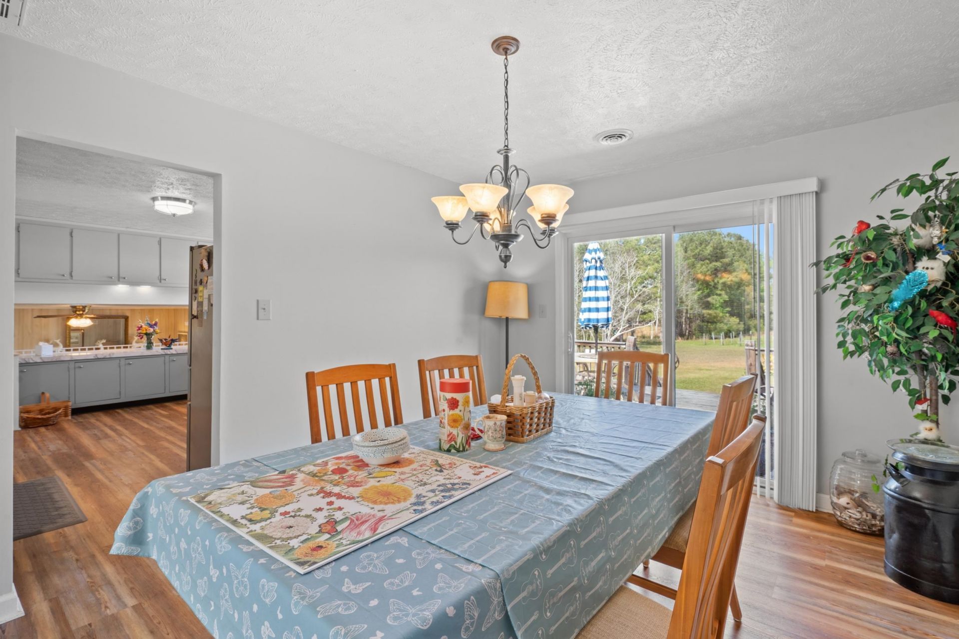 2031 Highway 129  Photo 6