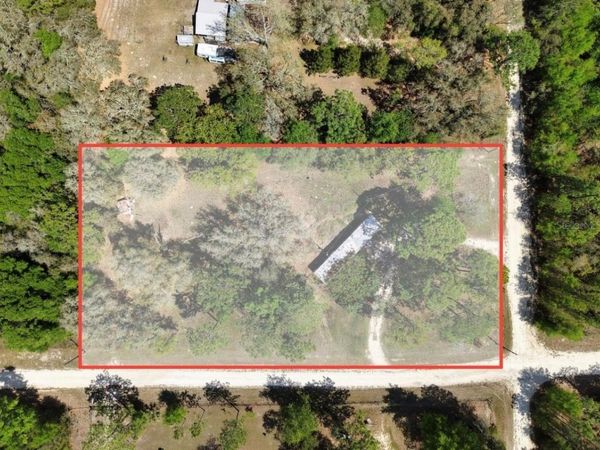 12231 NE 64TH PLACE, WILLISTON, FL 32696